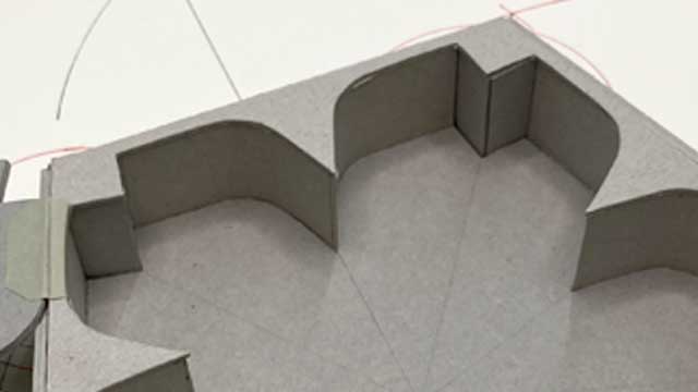 花弁が交差する狭角